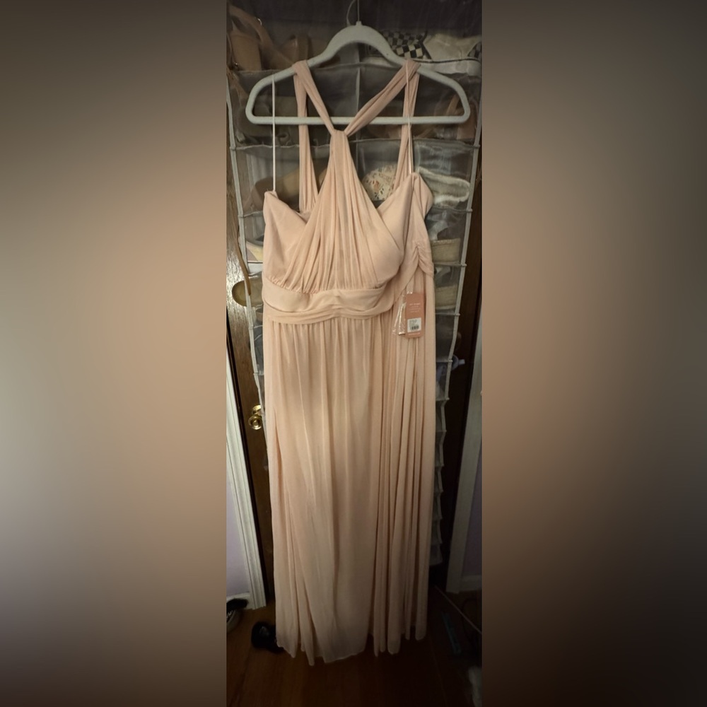 Birdy Grey Kiko Dress Pale Blush 3X Brand New